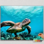 Paint By Numbers - DIamond Painting HORJPE (13) Turtle