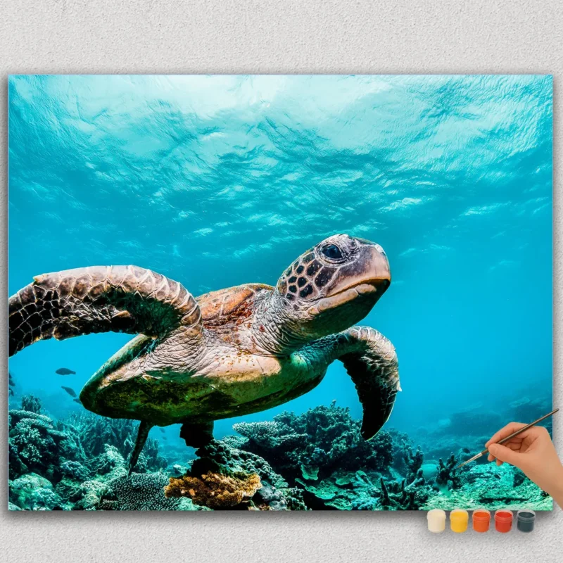 Paint By Numbers - DIamond Painting HORJPE (13) Turtle