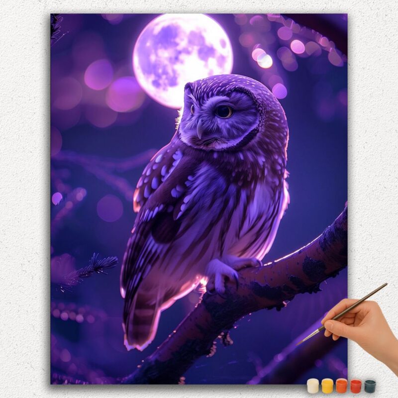Paint By Numbers - DIamond Painting Ver jpgg (372) Owl and Moon