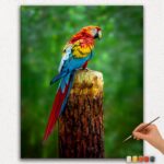 Paint By Numbers - DIamond Painting Ver jpgg (71) Colorful Parrot