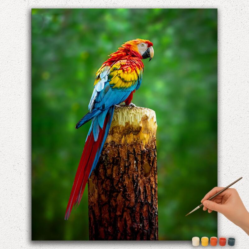 Paint By Numbers - DIamond Painting Ver jpgg (71) Colorful Parrot