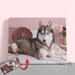 custom cat portrait 112 Personalized Pet Portrait Paint by Numbers: Turn Your Furry Friend in Artwork