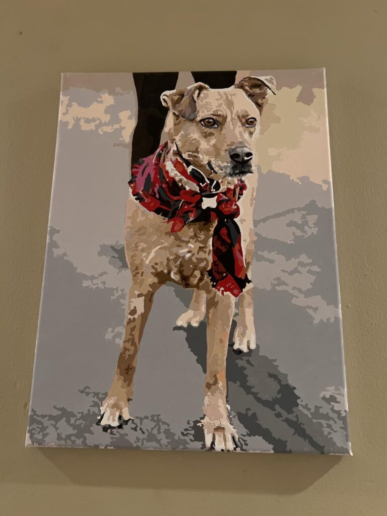 Personalisiertes Haustier-Porträt Malen nach Zahlen: Verwandle dein Fellknäuel in Kunst photo review