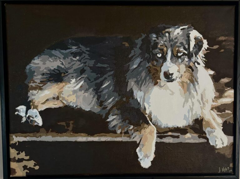 Personalisiertes Haustier-Porträt Malen nach Zahlen: Verwandle dein Fellknäuel in Kunst photo review