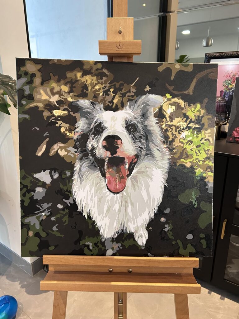 Personalisiertes Haustier-Porträt Malen nach Zahlen: Verwandle dein Fellknäuel in Kunst photo review