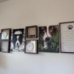 Personalisiertes Haustier-Porträt Malen nach Zahlen: Verwandle dein Fellknäuel in Kunst photo review