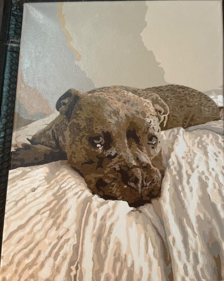 Personalisiertes Haustier-Porträt Malen nach Zahlen: Verwandle dein Fellknäuel in Kunst photo review