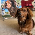 Personalisiertes Haustier-Porträt Malen nach Zahlen: Verwandle dein Fellknäuel in Kunst photo review