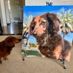 Personalisiertes Haustier-Porträt Malen nach Zahlen: Verwandle dein Fellknäuel in Kunst photo review