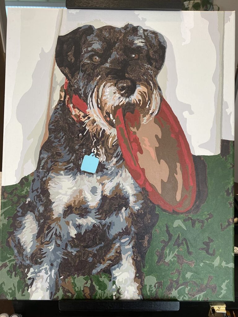 Personalisiertes Haustier-Porträt Malen nach Zahlen: Verwandle dein Fellknäuel in Kunst photo review