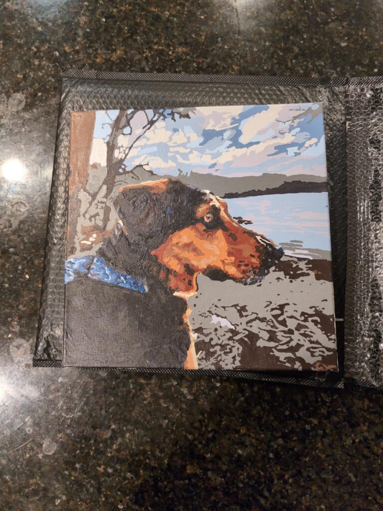 Personalisiertes Haustier-Porträt Malen nach Zahlen: Verwandle dein Fellknäuel in Kunst photo review