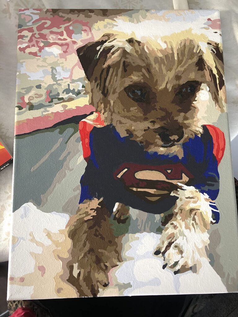 Personalisiertes Haustier-Porträt Malen nach Zahlen: Verwandle dein Fellknäuel in Kunst photo review