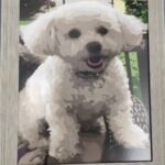 Personalisiertes Hochzeitsporträt – Verwandeln Sie Hochzeitserinnerungen in Kunstwerke photo review