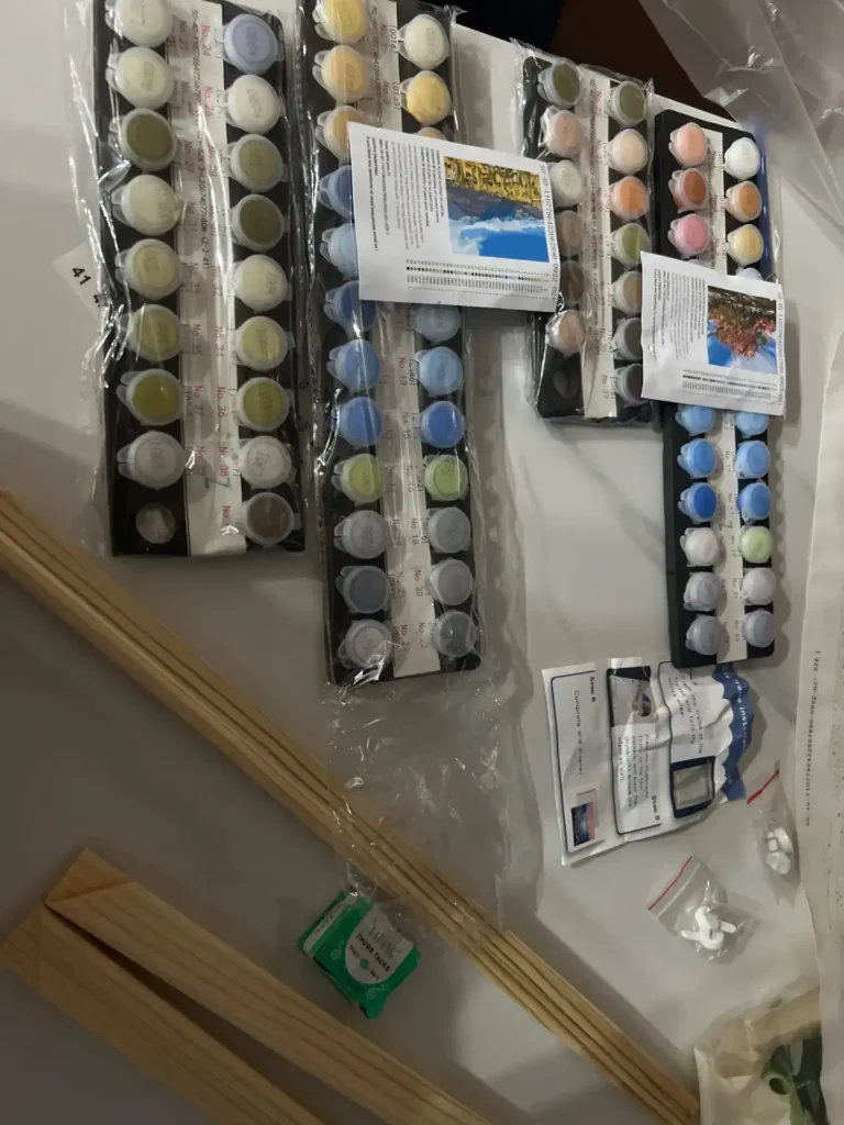 Malen nach Zahlen Set mit eigenem Foto | Dein Foto auf Leinwand | Geschenkidee photo review