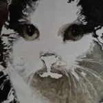 Malen nach Zahlen Set mit eigenem Foto | Dein Foto auf Leinwand | Geschenkidee photo review