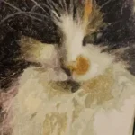 Malen nach Zahlen Set mit eigenem Foto | Dein Foto auf Leinwand | Geschenkidee photo review