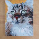 Personalisiertes Haustier-Porträt Malen nach Zahlen: Verwandle dein Fellknäuel in Kunst photo review