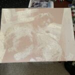 Personalisiertes Haustier-Porträt Malen nach Zahlen: Verwandle dein Fellknäuel in Kunst photo review