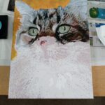 Personalisiertes Haustier-Porträt Malen nach Zahlen: Verwandle dein Fellknäuel in Kunst photo review