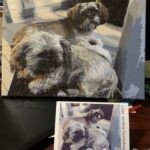 Personalisiertes Haustier-Porträt Malen nach Zahlen: Verwandle dein Fellknäuel in Kunst photo review